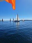 20260613_100035_Diane_De_Borde