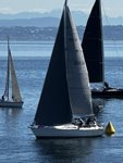 IMG_0294_Robert_Nettleton